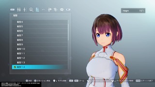 SAO_02.jpg