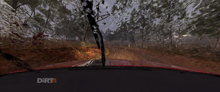 dirt4_05.jpg