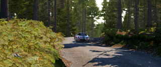 dirt4_08.jpg