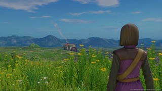 dq11_15.jpg