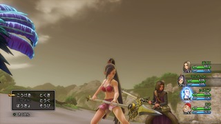 dq11_17.jpg