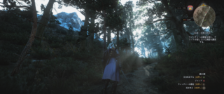 witcher3_02.png