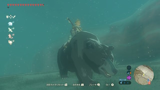 zelda_botw_11.jpg