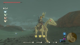 zelda_botw_12.jpg